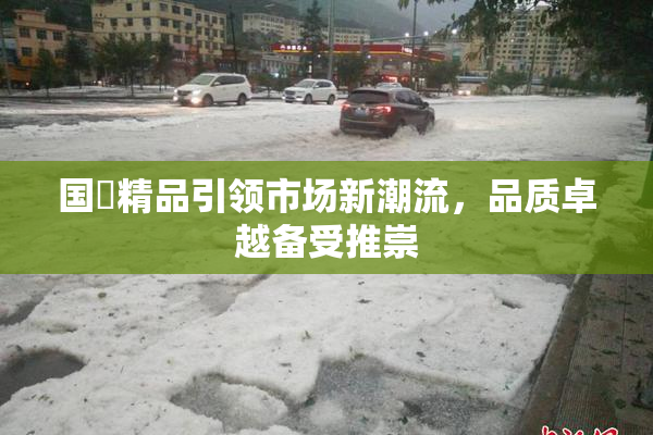 国產精品引领市场新潮流，品质卓越备受推崇