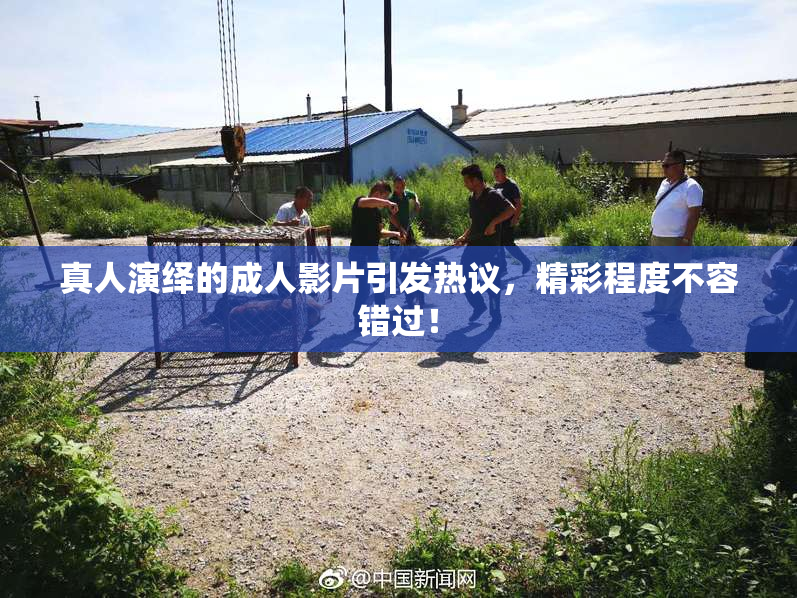 真人演绎的成人影片引发热议，精彩程度不容错过！