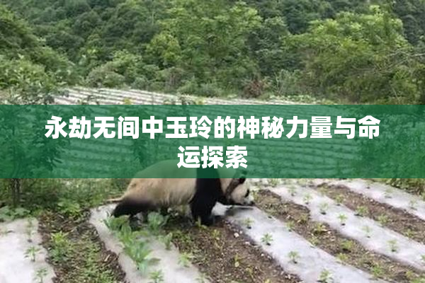 永劫无间中玉玲的神秘力量与命运探索