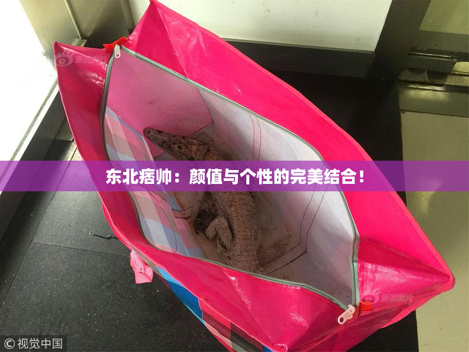 东北痞帅：颜值与个性的完美结合！