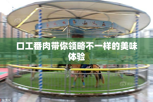口工番肉带你领略不一样的美味体验