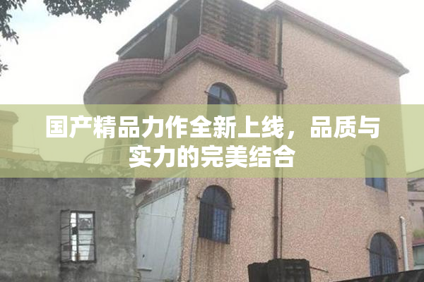 国产精品力作全新上线，品质与实力的完美结合