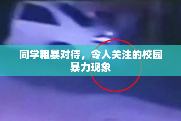 同学粗暴对待，令人关注的校园暴力现象