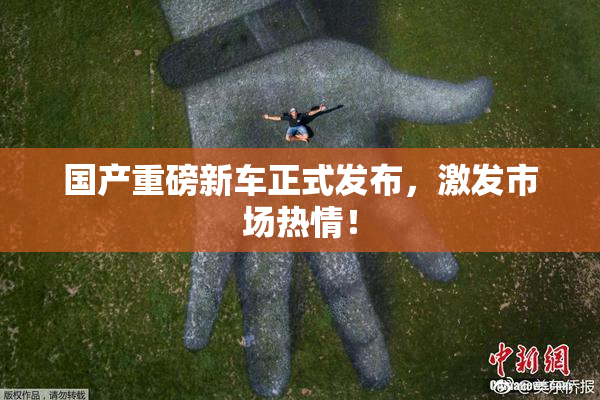 国产重磅新车正式发布，激发市场热情！