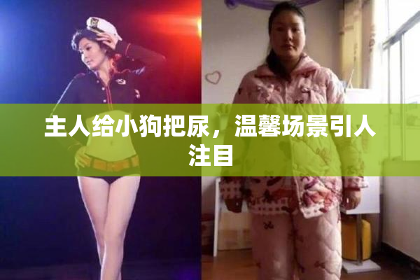 主人给小狗把尿，温馨场景引人注目