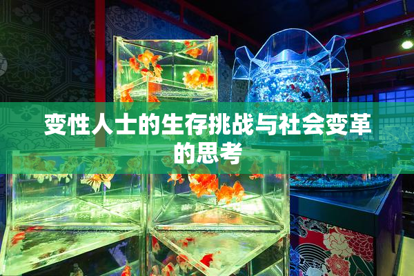 变性人士的生存挑战与社会变革的思考