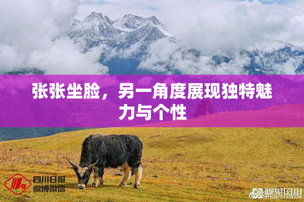 张张坐脸，另一角度展现独特魅力与个性