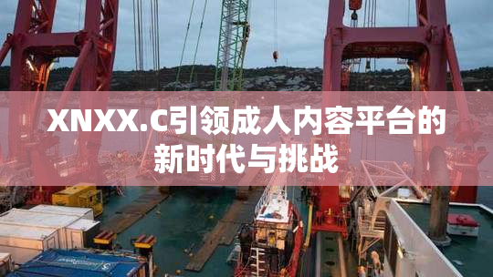 XNXX.C引领成人内容平台的新时代与挑战