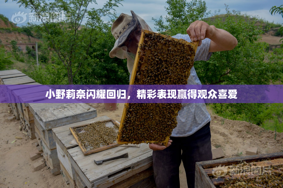 小野莉奈闪耀回归，精彩表现赢得观众喜爱