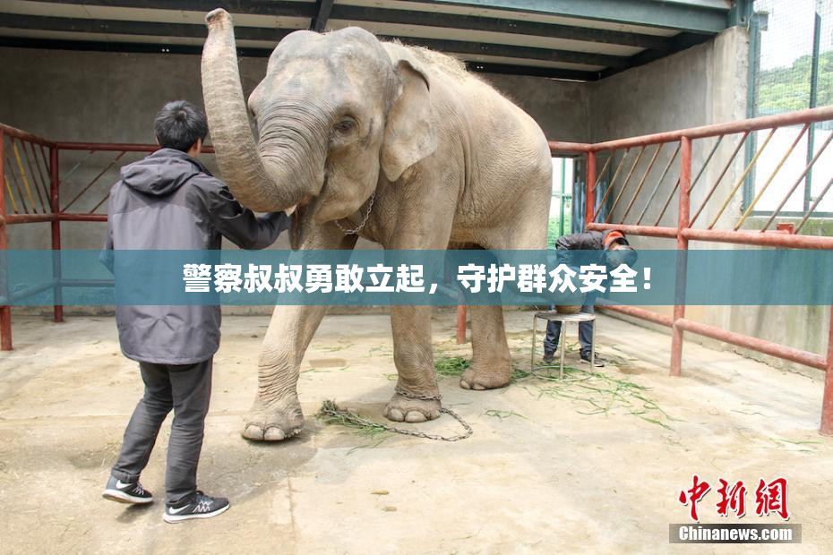 警察叔叔勇敢立起，守护群众安全！