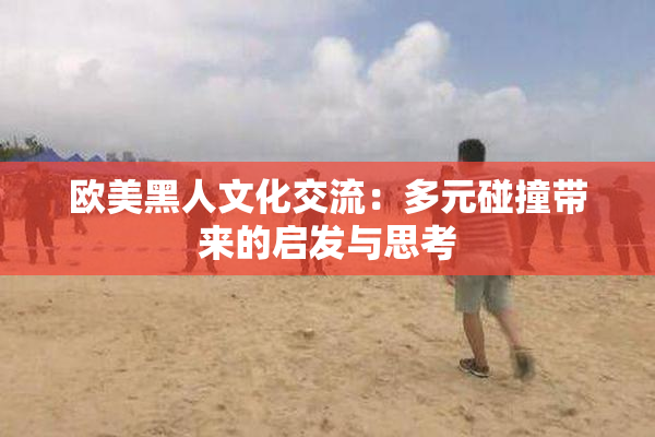 欧美黑人文化交流：多元碰撞带来的启发与思考