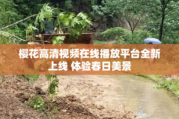 樱花高清视频在线播放平台全新上线 体验春日美景