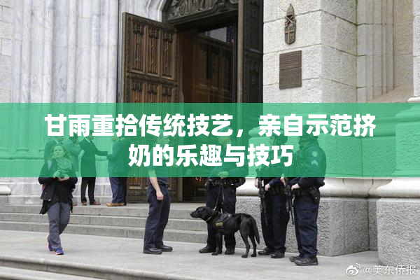 甘雨重拾传统技艺，亲自示范挤奶的乐趣与技巧
