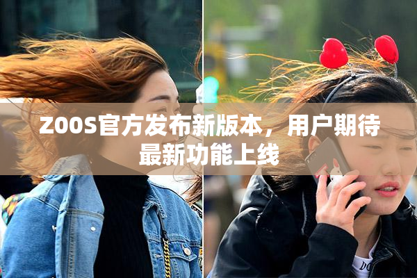 Z00S官方发布新版本，用户期待最新功能上线