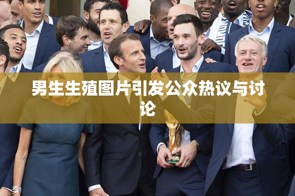 男生生殖图片引发公众热议与讨论
