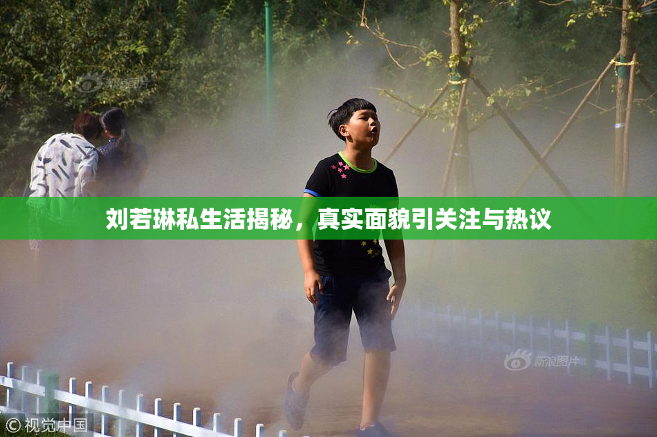 刘若琳私生活揭秘，真实面貌引关注与热议