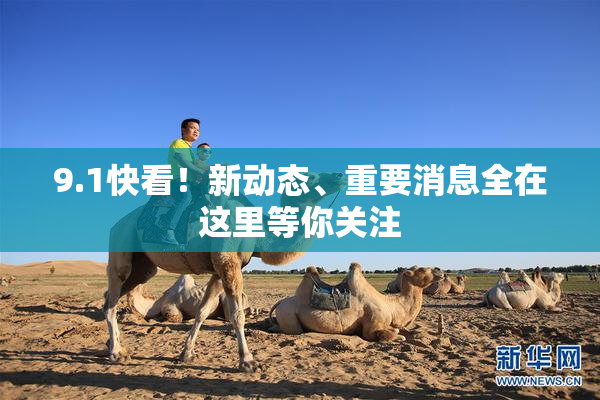 9.1快看！新动态、重要消息全在这里等你关注