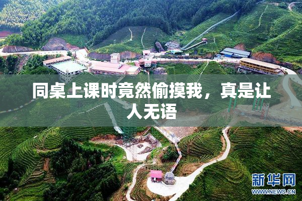 同桌上课时竟然偷摸我，真是让人无语