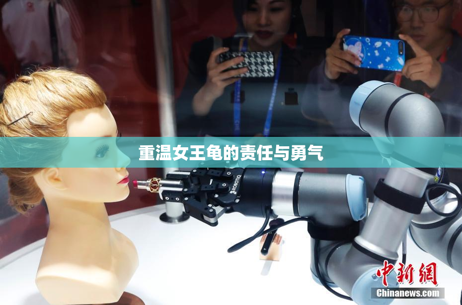 重温女王龟的责任与勇气