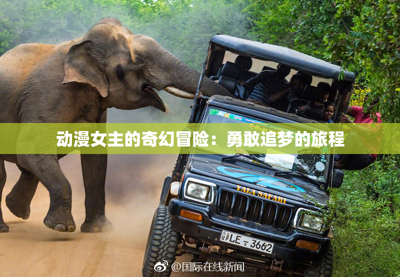 动漫女主的奇幻冒险：勇敢追梦的旅程