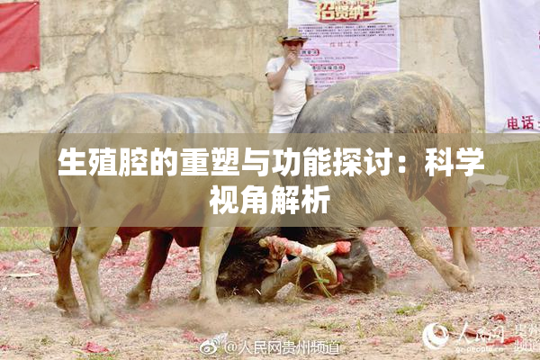 生殖腔的重塑与功能探讨：科学视角解析