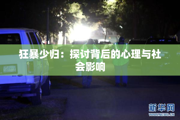 狂暴少归：探讨背后的心理与社会影响