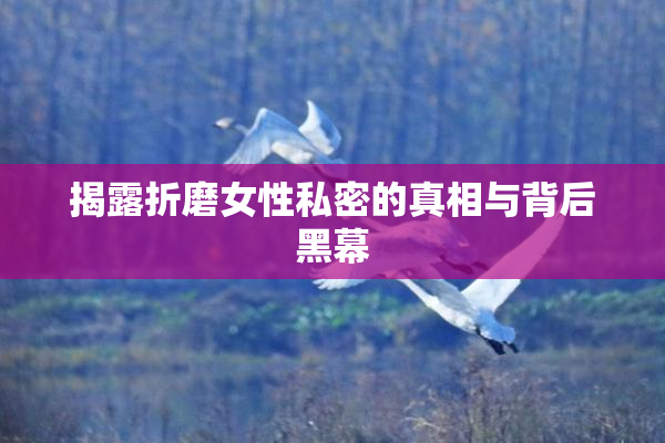 揭露折磨女性私密的真相与背后黑幕