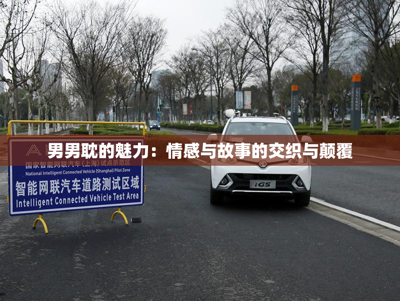 男男耽的魅力：情感与故事的交织与颠覆
