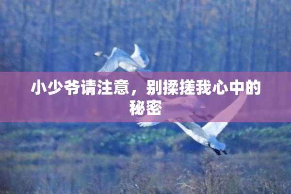 小少爷请注意，别揉搓我心中的秘密