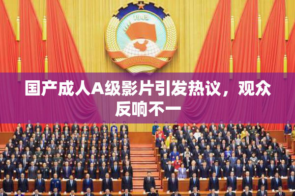 国产成人A级影片引发热议，观众反响不一