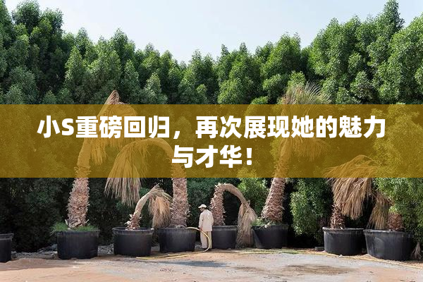 小S重磅回归，再次展现她的魅力与才华！