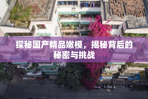 探秘国产精品嫩模，揭秘背后的秘密与挑战