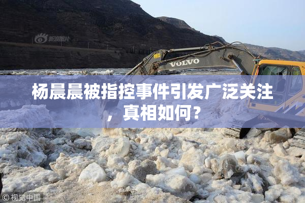 杨晨晨被指控事件引发广泛关注，真相如何？