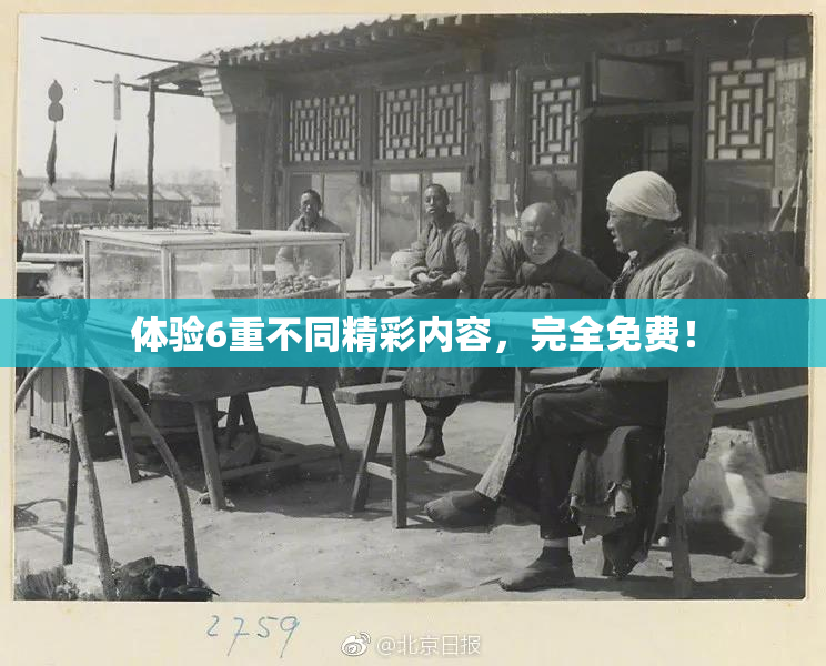体验6重不同精彩内容，完全免费！