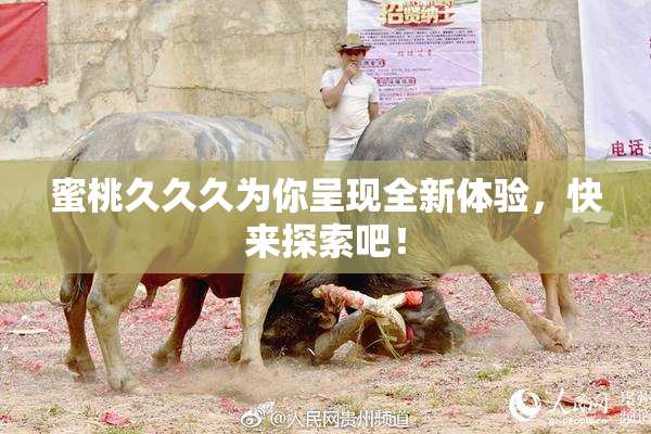 蜜桃久久久为你呈现全新体验，快来探索吧！