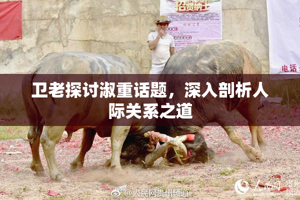 卫老探讨淑重话题，深入剖析人际关系之道