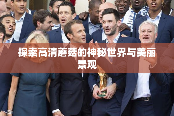 探索高清蘑菇的神秘世界与美丽景观