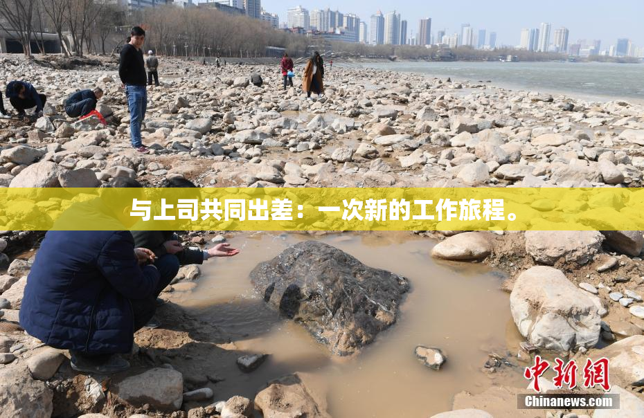 与上司共同出差：一次新的工作旅程。