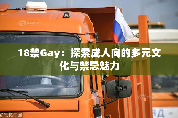 18禁Gay：探索成人向的多元文化与禁忌魅力