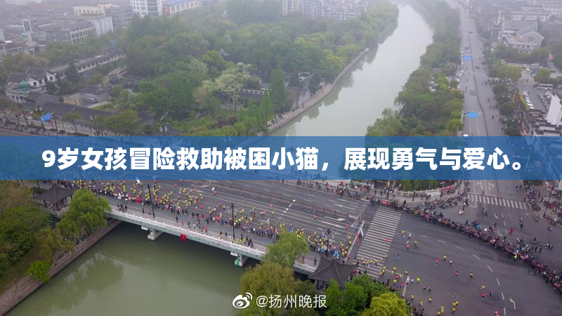 9岁女孩冒险救助被困小猫，展现勇气与爱心。