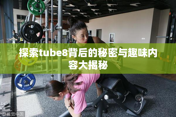 探索tube8背后的秘密与趣味内容大揭秘