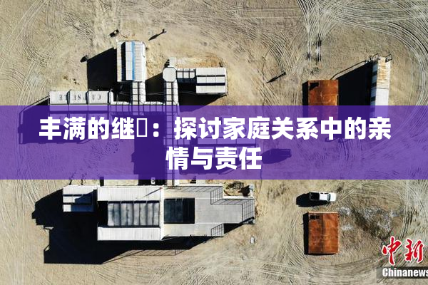 丰满的继牳：探讨家庭关系中的亲情与责任