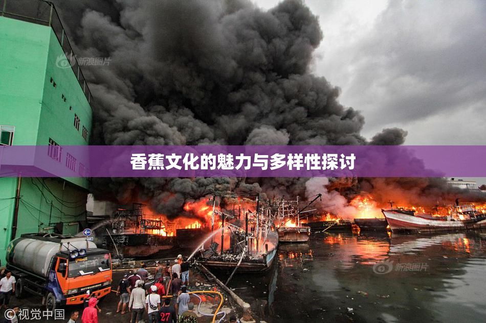 香蕉文化的魅力与多样性探讨
