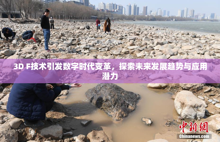 3D F技术引发数字时代变革，探索未来发展趋势与应用潜力