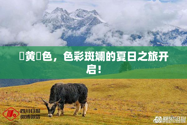 ✿黄✿色，色彩斑斓的夏日之旅开启！