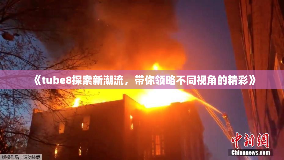 《tube8探索新潮流，带你领略不同视角的精彩》