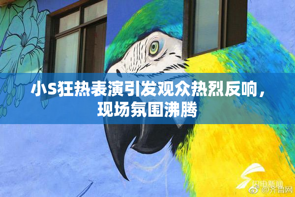 小S狂热表演引发观众热烈反响，现场氛围沸腾