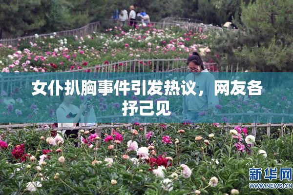 女仆扒胸事件引发热议，网友各抒己见
