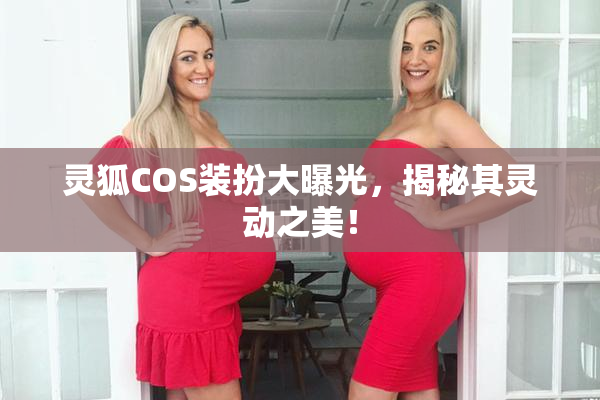 灵狐COS装扮大曝光，揭秘其灵动之美！