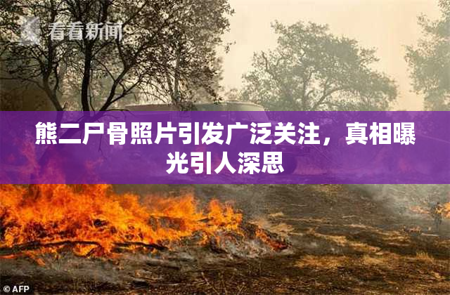 熊二尸骨照片引发广泛关注，真相曝光引人深思